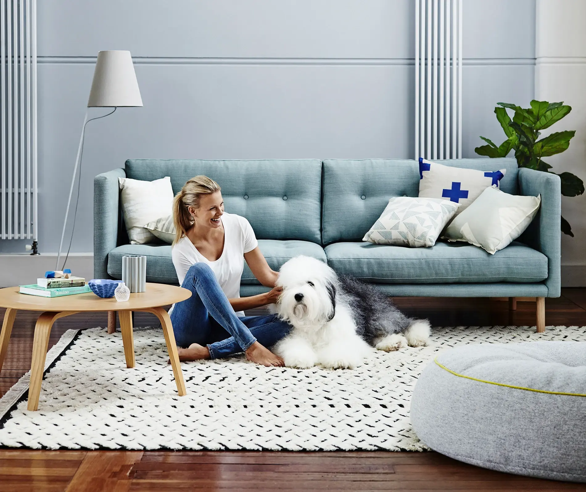 Interior living room blue wall with the Dulux dog